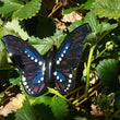 Load image into Gallery viewer, Glass Butterfly #5 -Blue/Pink, Small