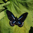 Load image into Gallery viewer, Glass Butterfly #5 -Blue/Pink, Small