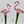 Load image into Gallery viewer, Garden Stake: Flamingo
